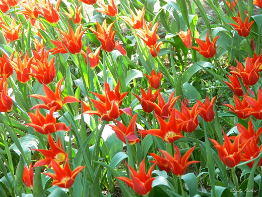 427982 (a): :1600x1200